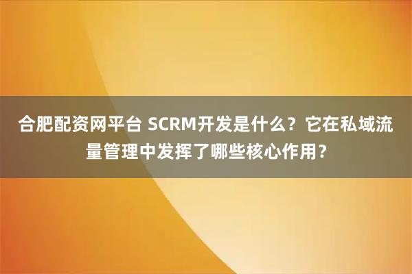 合肥配资网平台 SCRM开发是什么？它在私域流量管理中发挥了哪些核心作用？