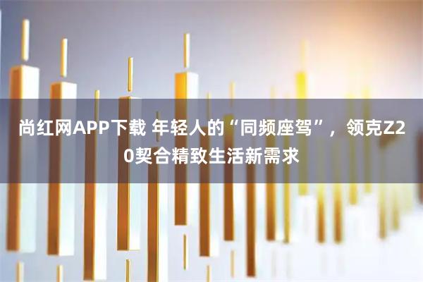 尚红网APP下载 年轻人的“同频座驾”，领克Z20契合精致生活新需求