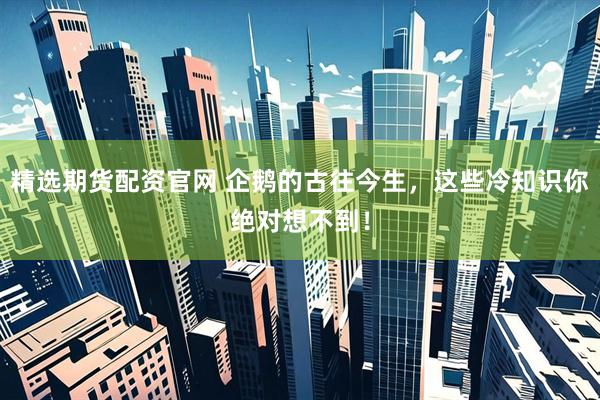 精选期货配资官网 企鹅的古往今生，这些冷知识你绝对想不到！
