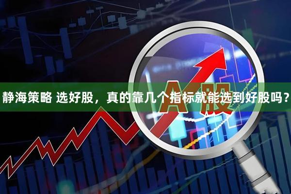 静海策略 选好股，真的靠几个指标就能选到好股吗？